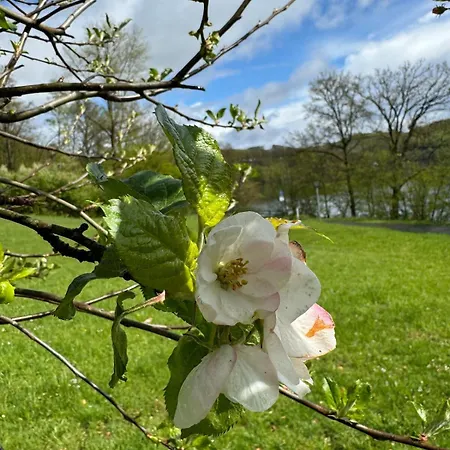 Apartmán #9 Ommi Kese Drachen See-suite Sauna Hund