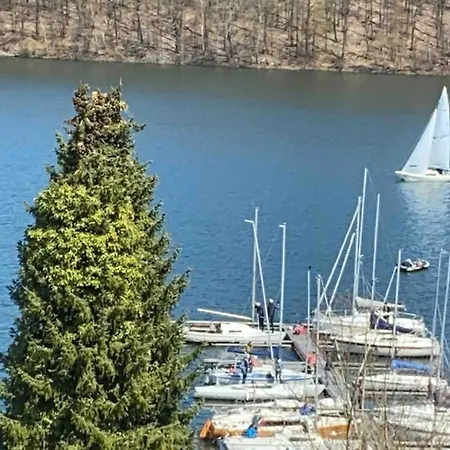 #9 Ommi Kese Drachen See-suite Sauna Hund