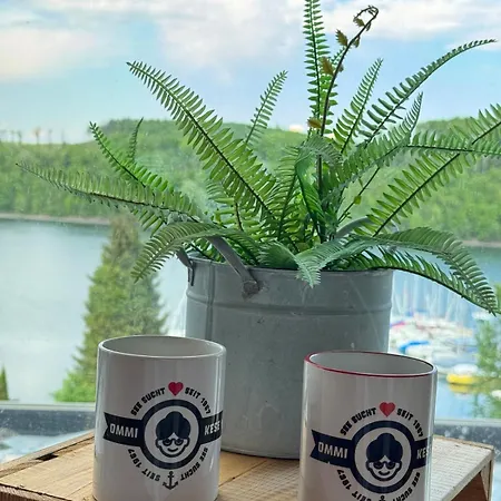 #9 Ommi Kese Drachen See-suite Sauna Hund Apartmán Olpe bei Meschede