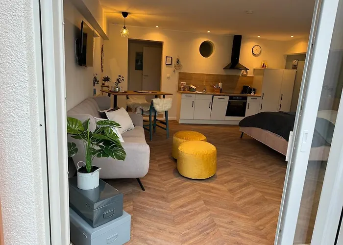 #9 Ommi Kese Drachen See-suite Sauna Hund