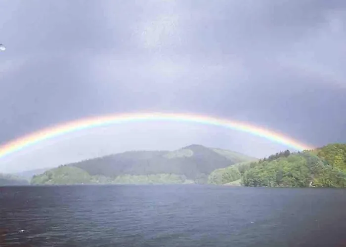 #9 Ommi Kese Drachen See-suite Sauna Hund Olpe bei Meschede