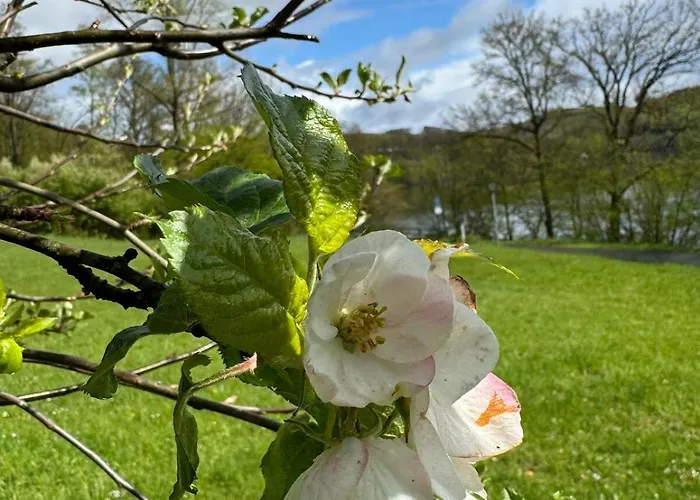 Appartamento #9 Ommi Kese Drachen See-suite Sauna Hund