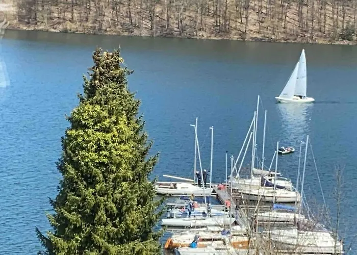 #9 Ommi Kese Drachen See-suite Sauna Hund